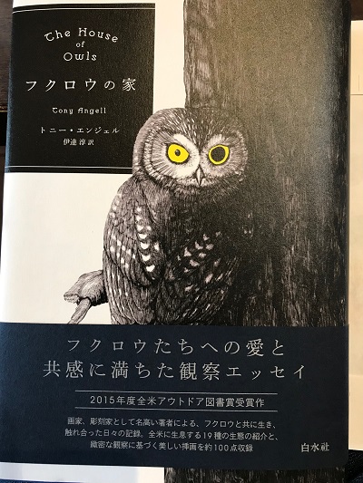 フクロウの家