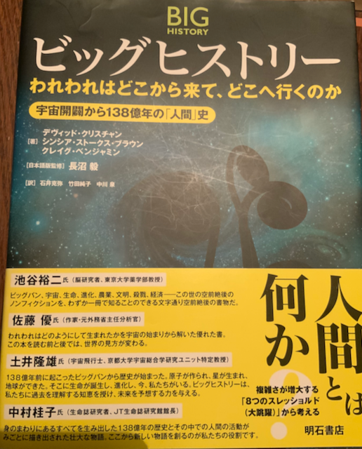 ビッグヒストリー